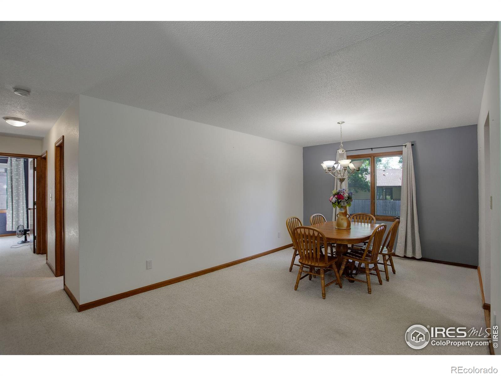 MLS Image #13 for 507  chestnut street,windsor, Colorado