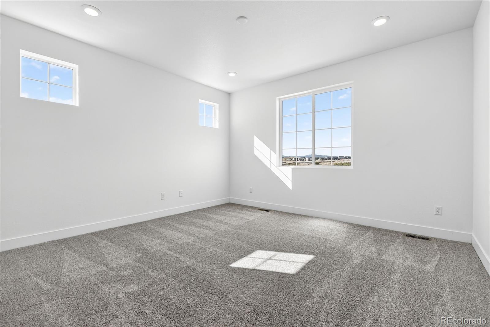 MLS Image #24 for 4285  ridgewalk point,castle rock, Colorado