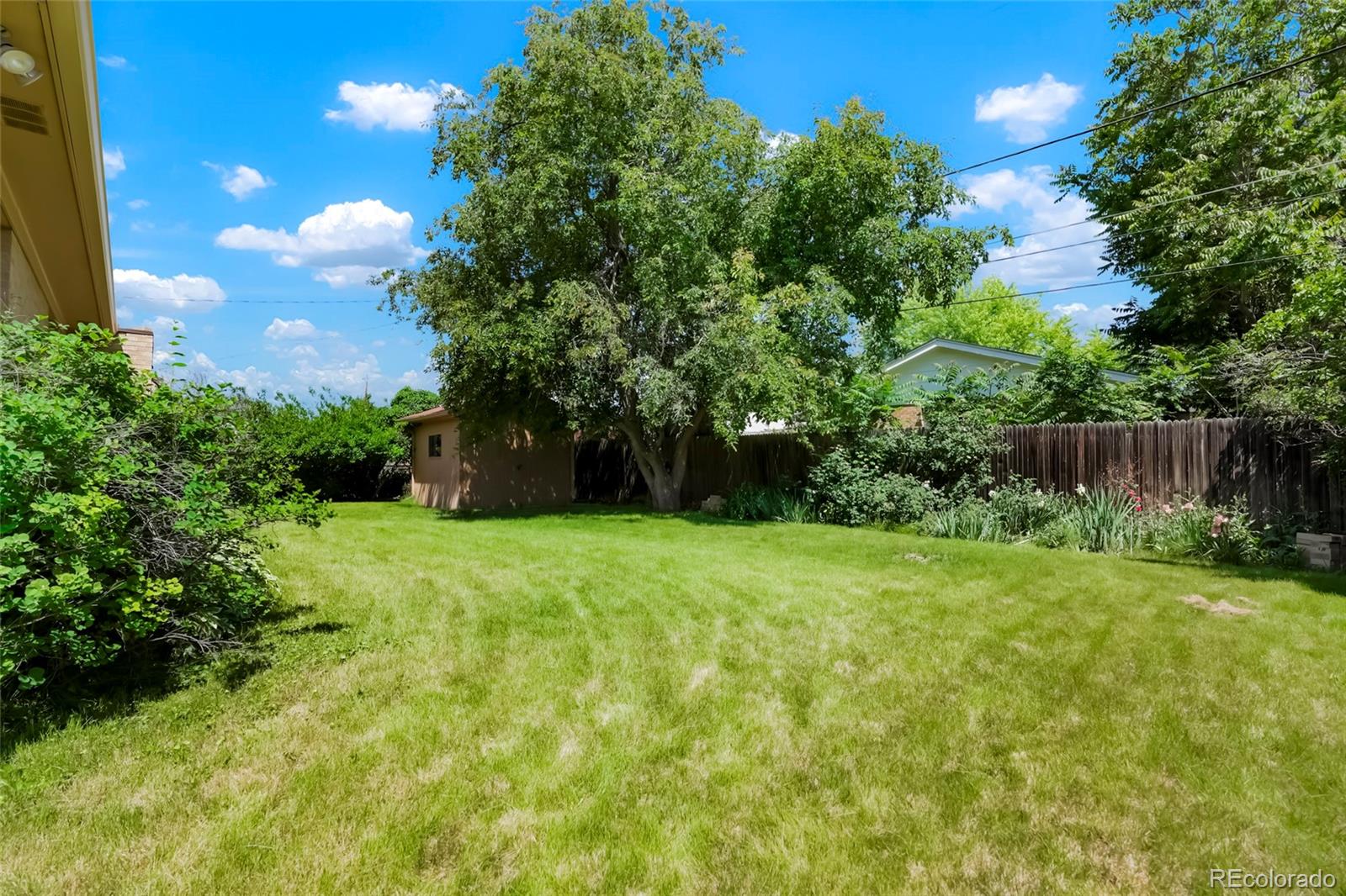 MLS Image #17 for 1803  graves court,northglenn, Colorado