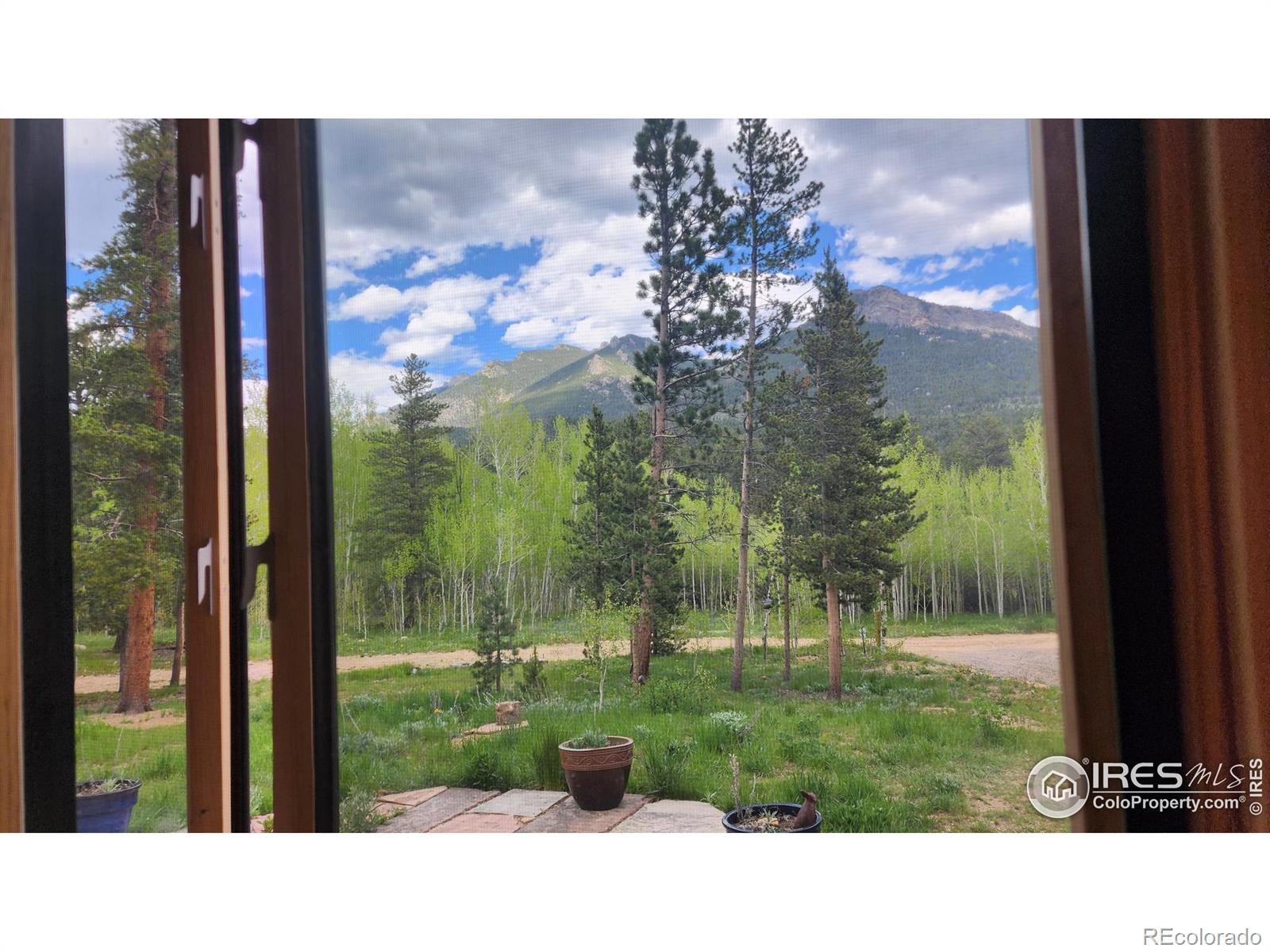 MLS Image #17 for 256  fisk fenner road,allenspark, Colorado