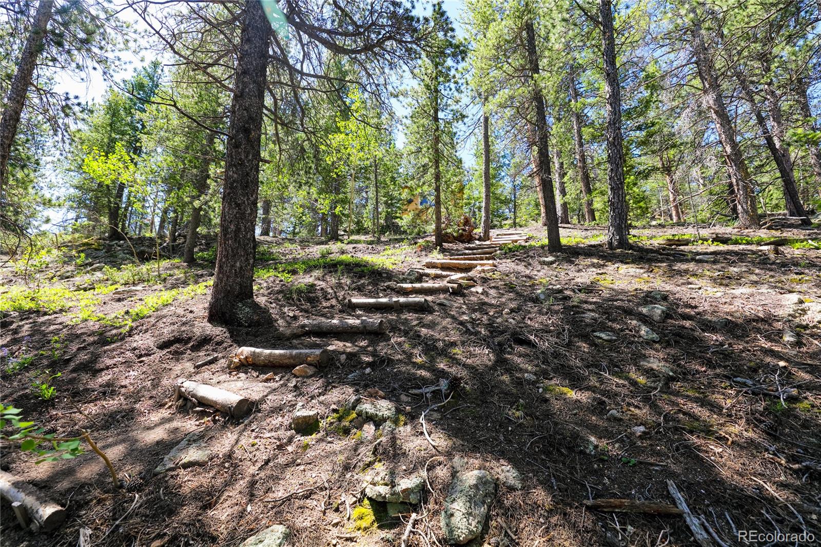 MLS Image #25 for 256  fisk fenner road,allenspark, Colorado