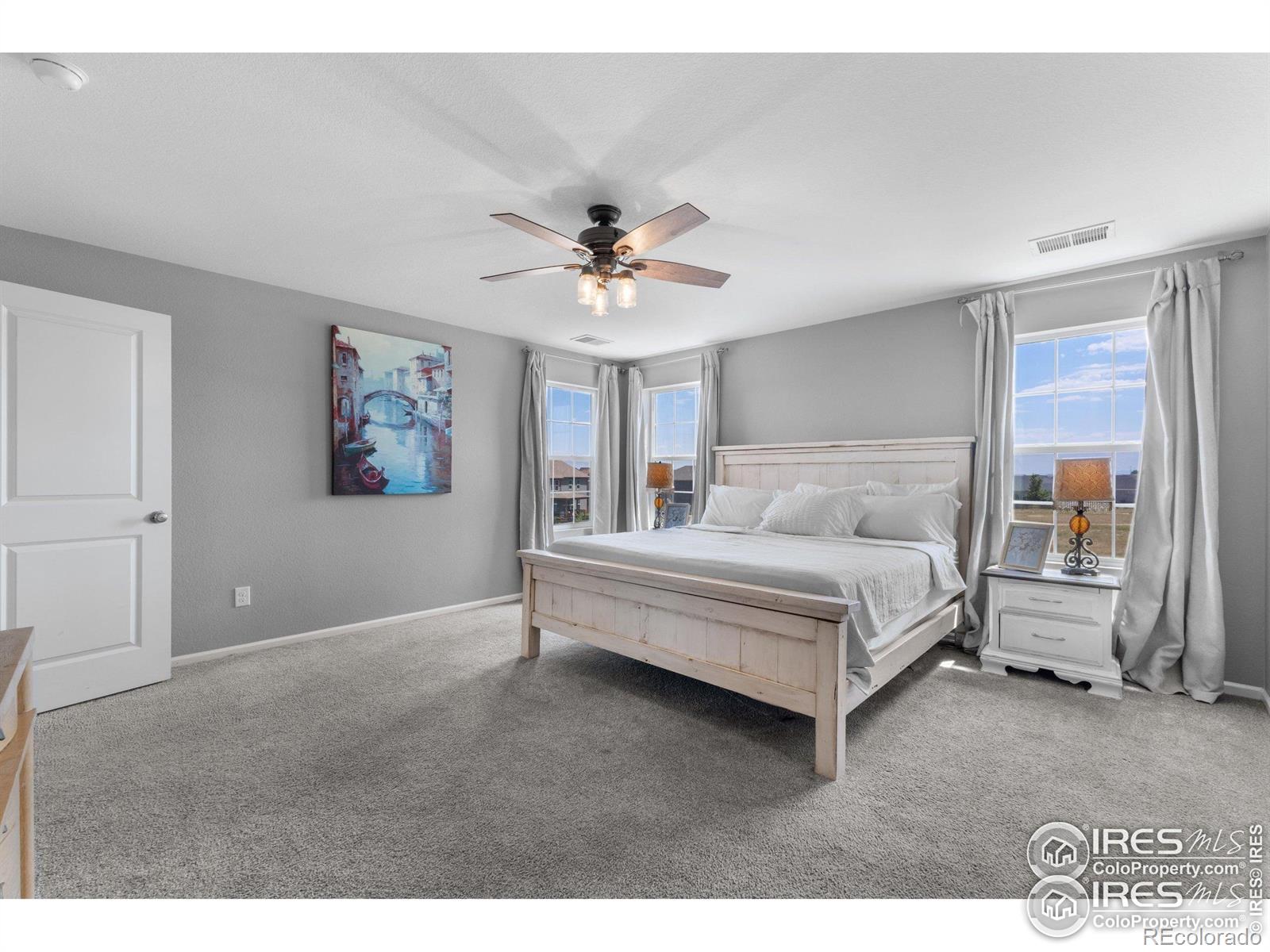 MLS Image #20 for 4900  wildflower place,dacono, Colorado