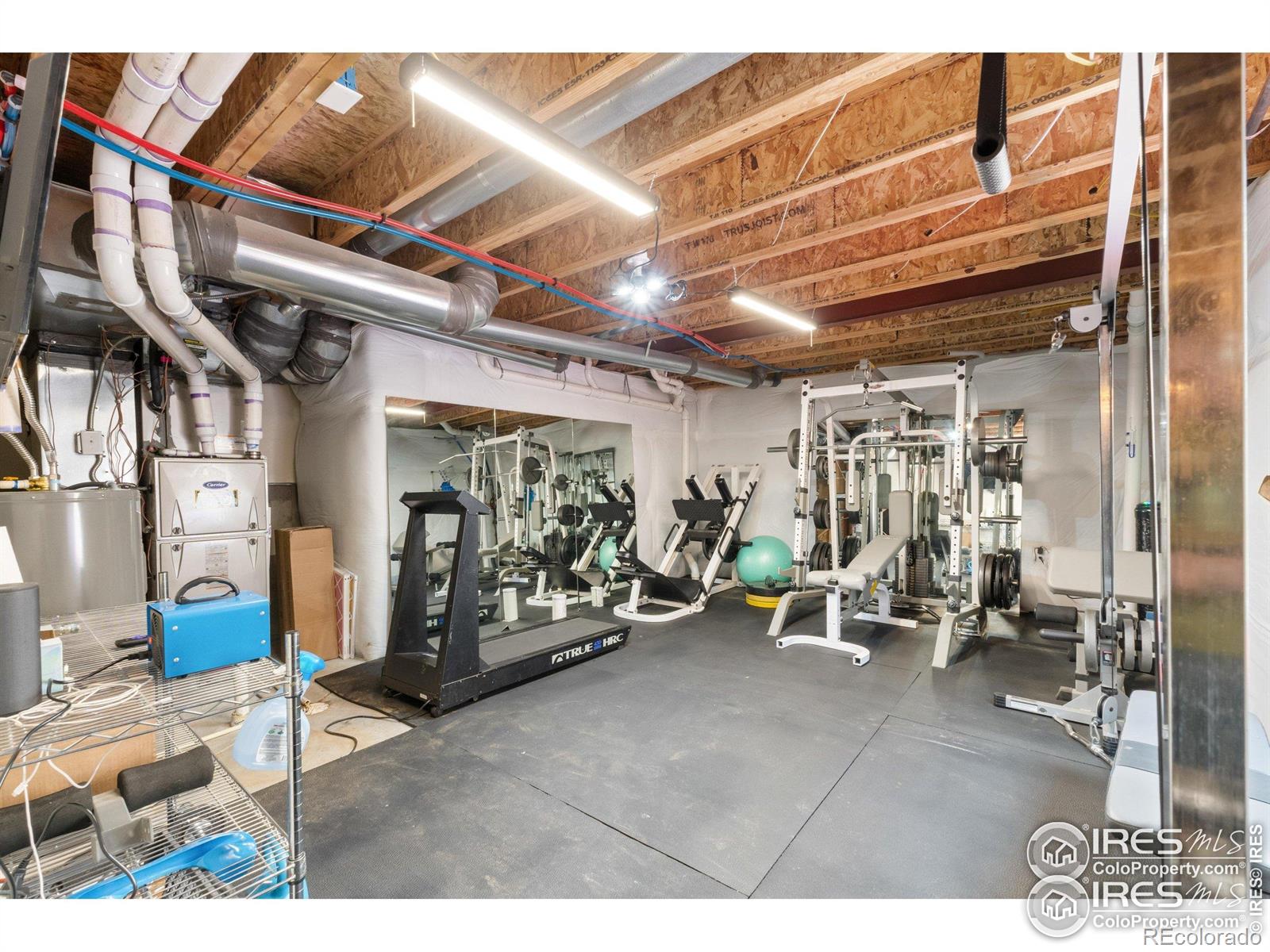 MLS Image #29 for 4900  wildflower place,dacono, Colorado