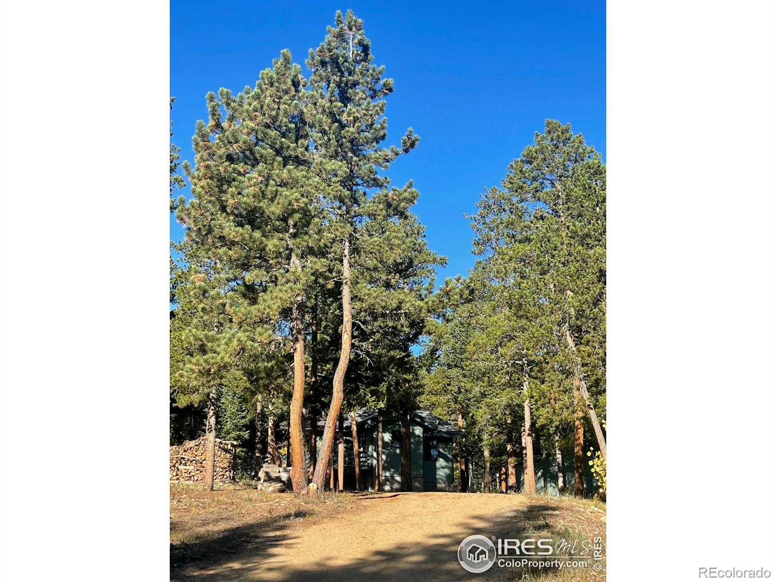MLS Image #19 for 33 n skinner road,allenspark, Colorado