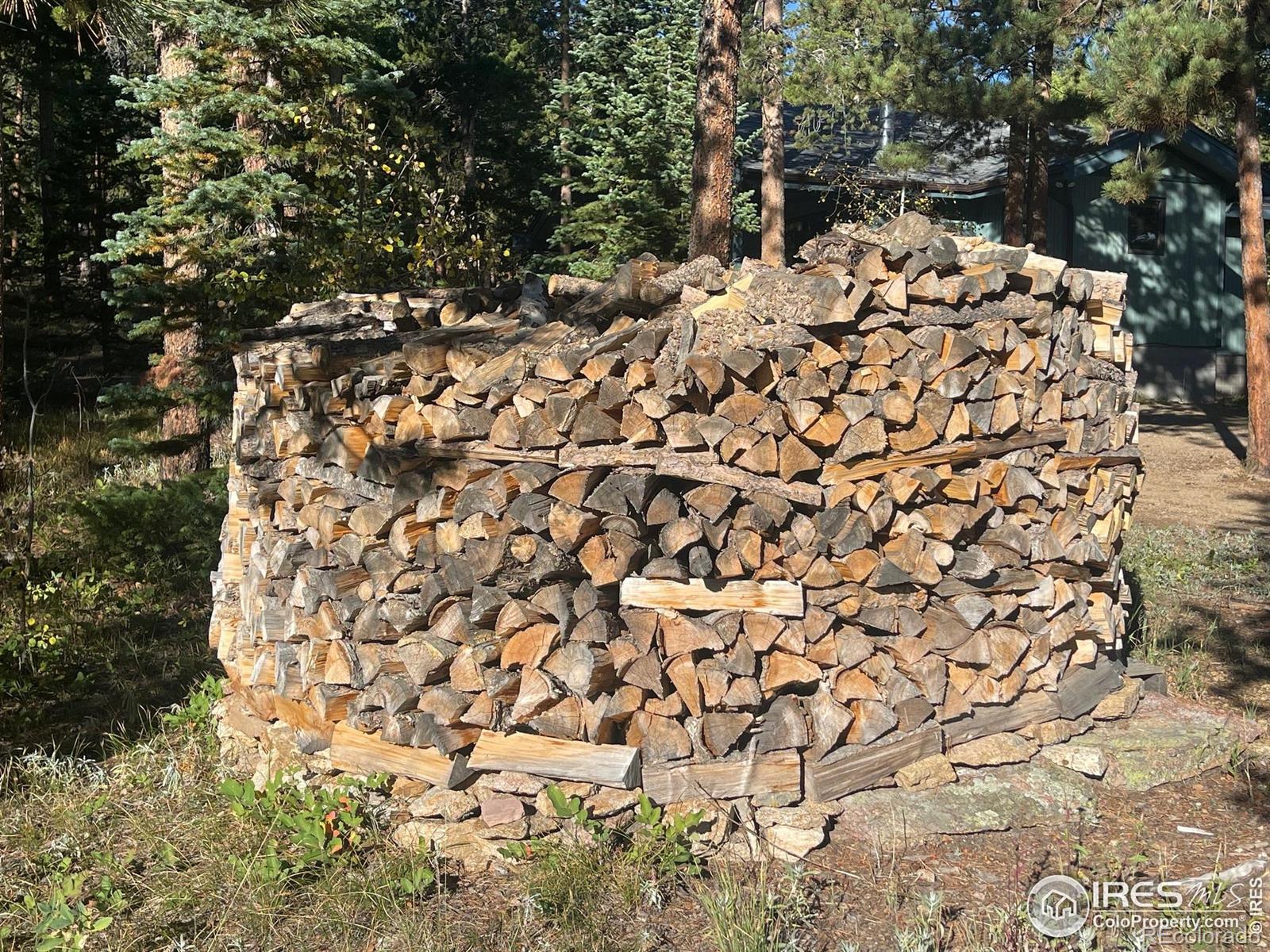 MLS Image #20 for 33 n skinner road,allenspark, Colorado