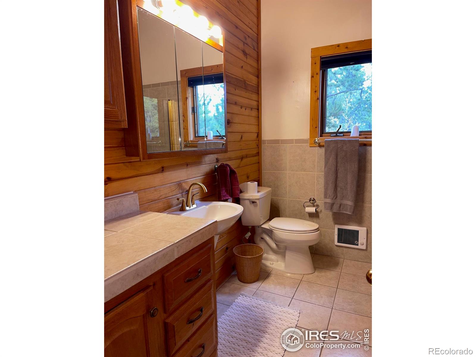 MLS Image #23 for 33 n skinner road,allenspark, Colorado