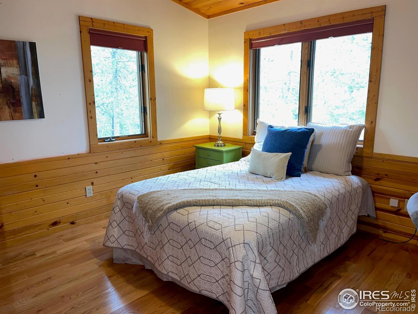 MLS Image #25 for 33 n skinner road,allenspark, Colorado