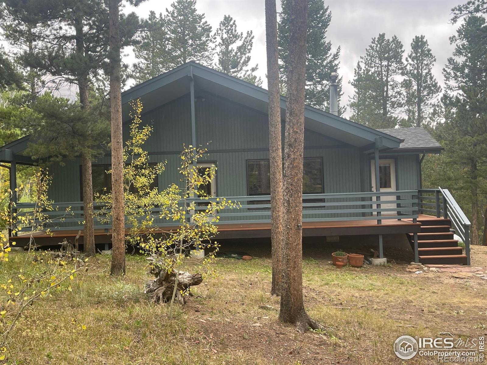 MLS Image #3 for 33 n skinner road,allenspark, Colorado