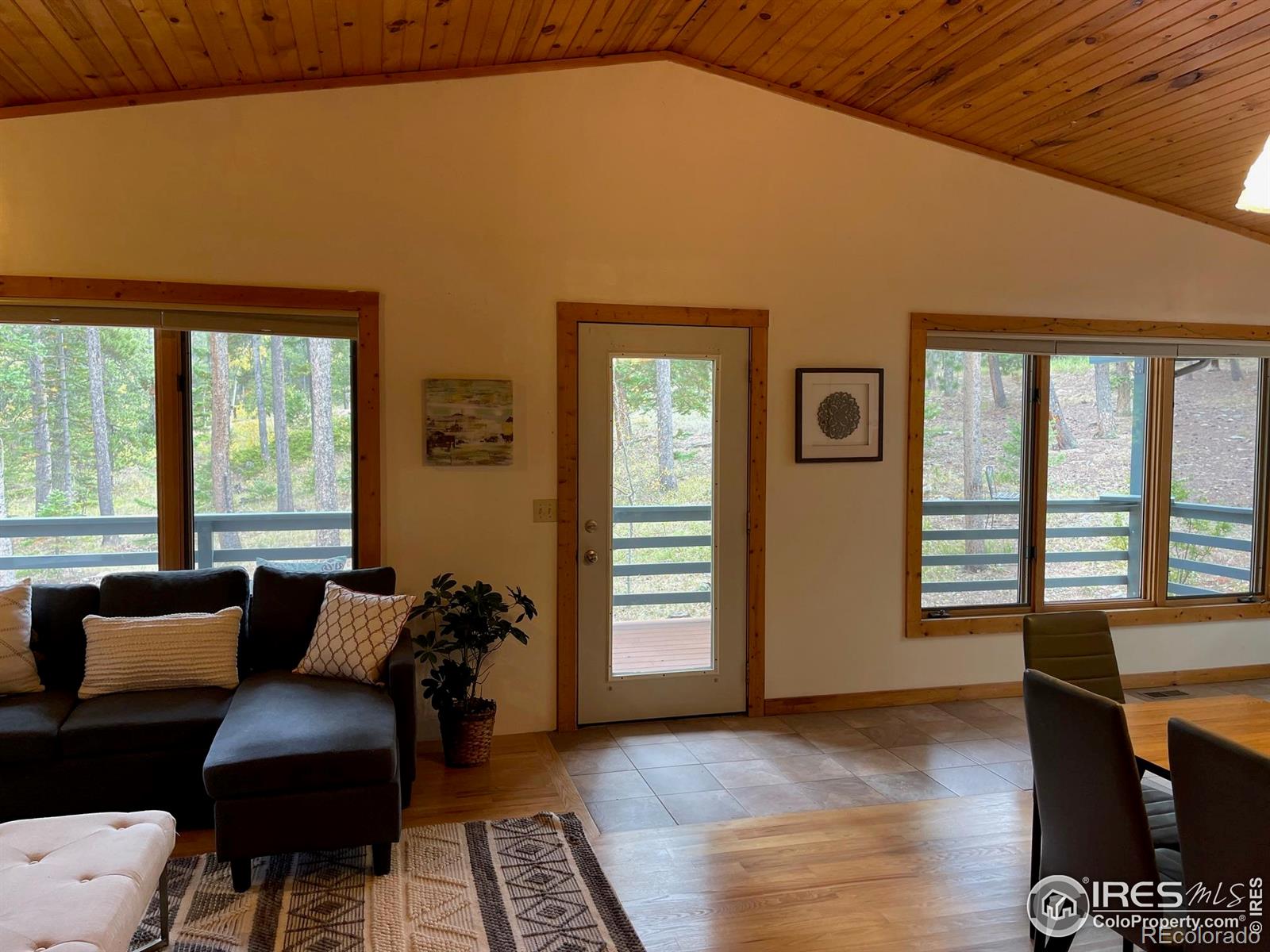 MLS Image #7 for 33 n skinner road,allenspark, Colorado