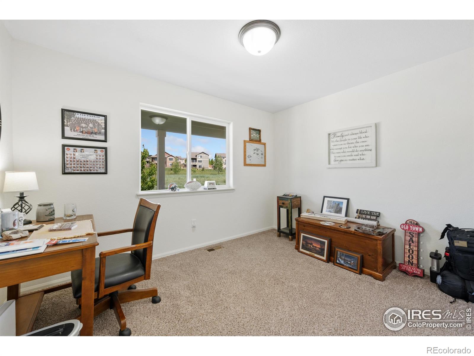 MLS Image #11 for 6301  grand mesa drive,loveland, Colorado