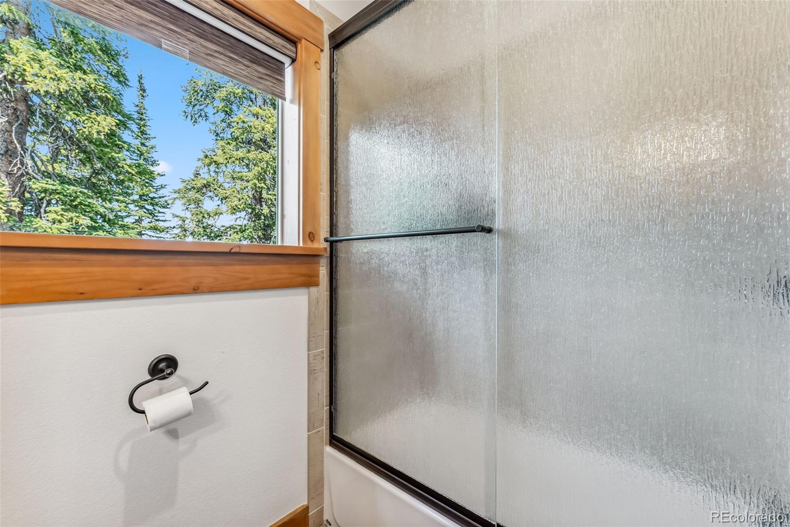 MLS Image #35 for 384  camron lane,breckenridge, Colorado