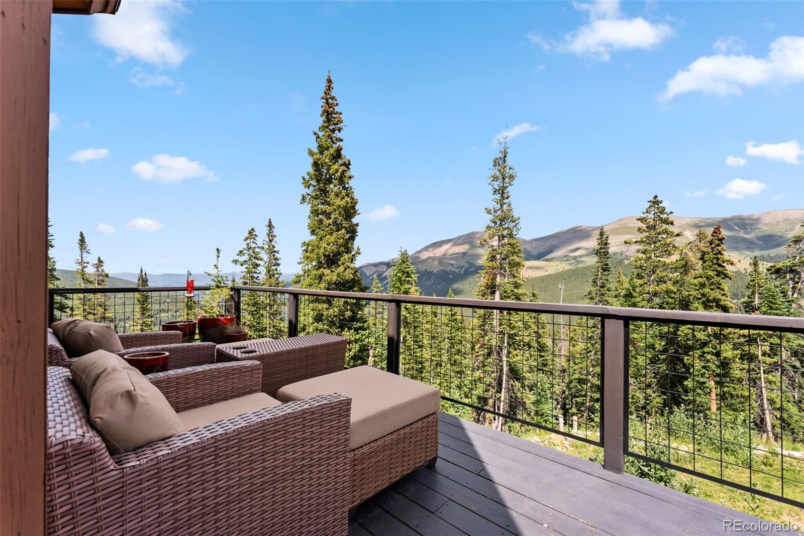 MLS Image #41 for 384  camron lane,breckenridge, Colorado
