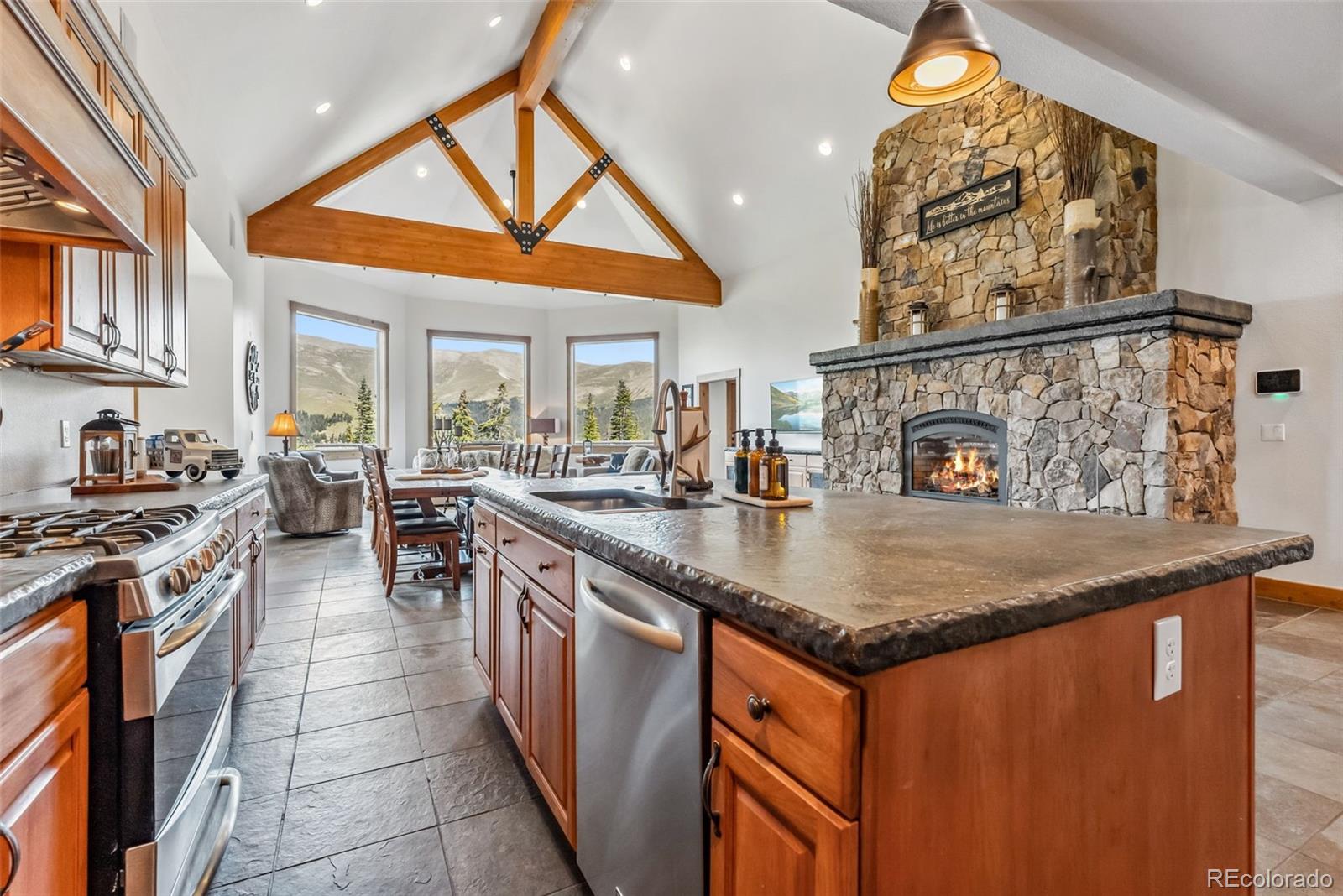 MLS Image #7 for 384  camron lane,breckenridge, Colorado