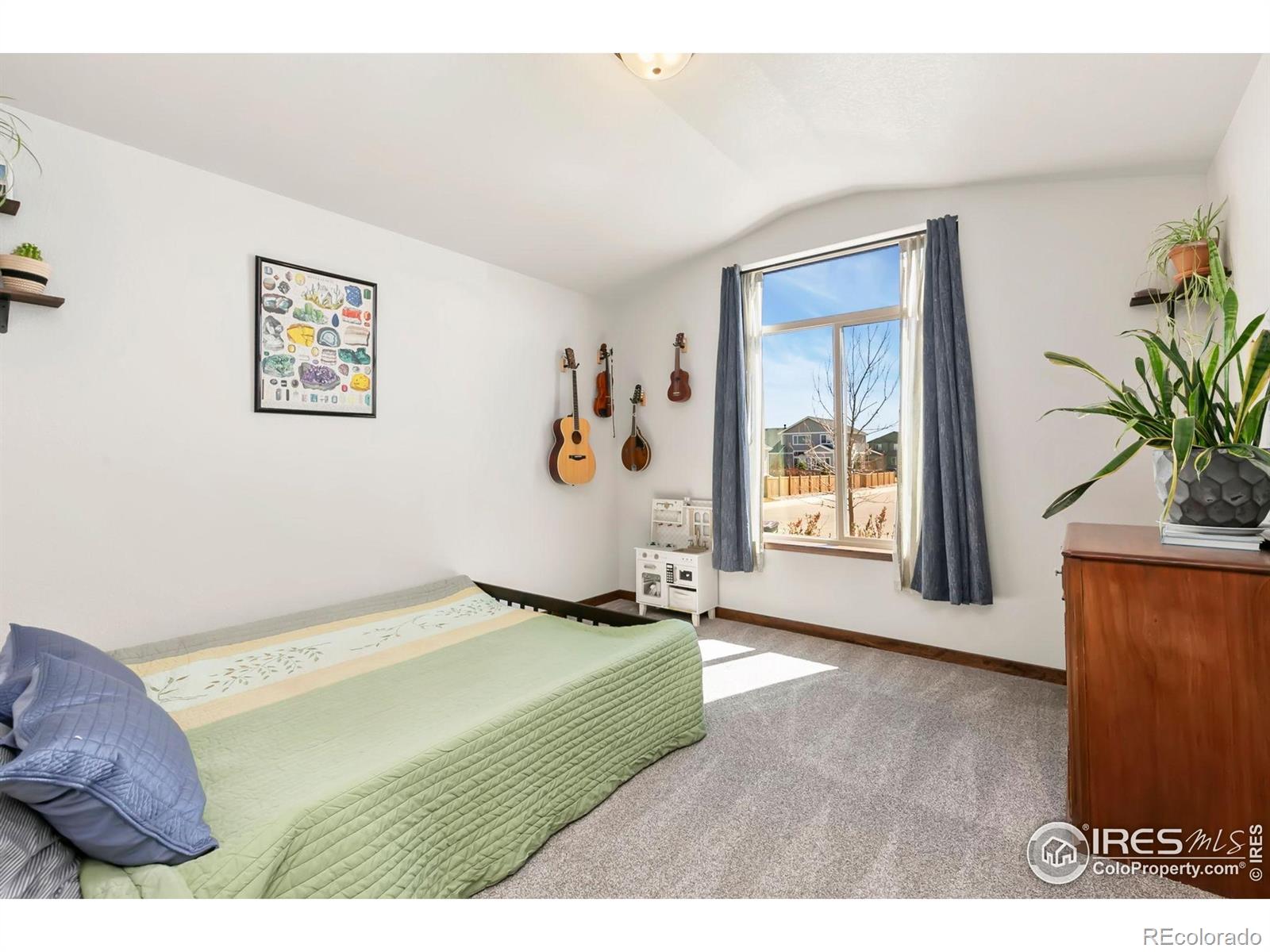 MLS Image #18 for 3362  buffalo grass lane,wellington, Colorado
