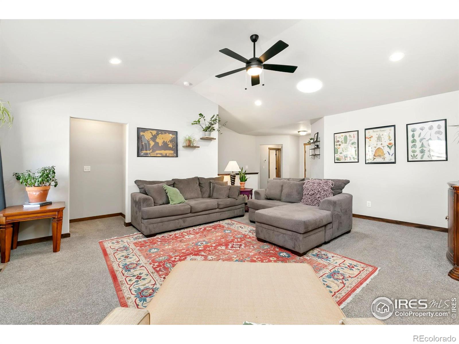 MLS Image #5 for 3362  buffalo grass lane,wellington, Colorado