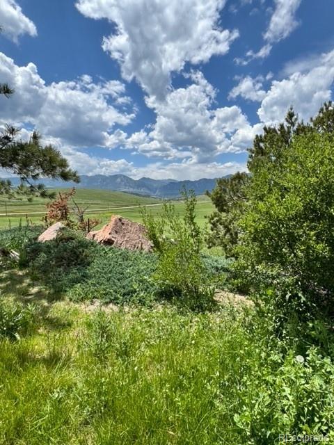 MLS Image #2 for 6877  marshall drive,boulder, Colorado
