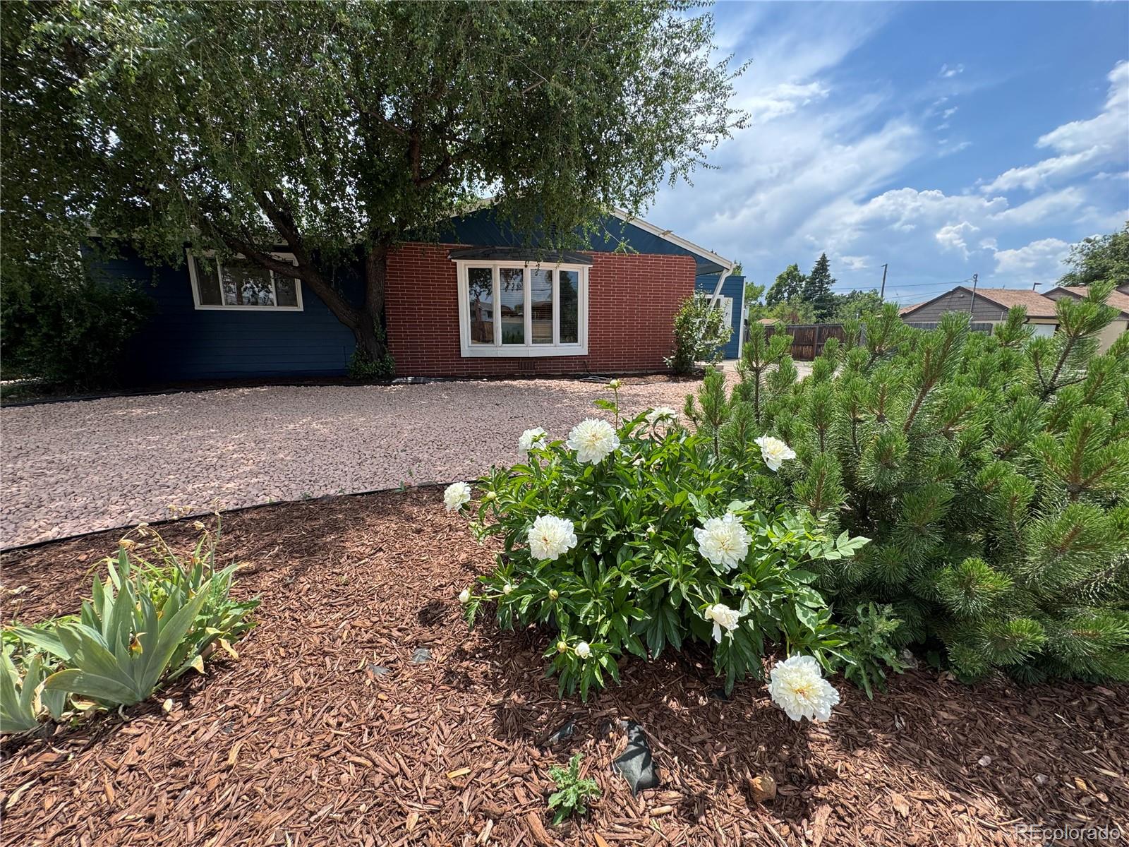 MLS Image #3 for 10130 w 20th avenue,lakewood, Colorado