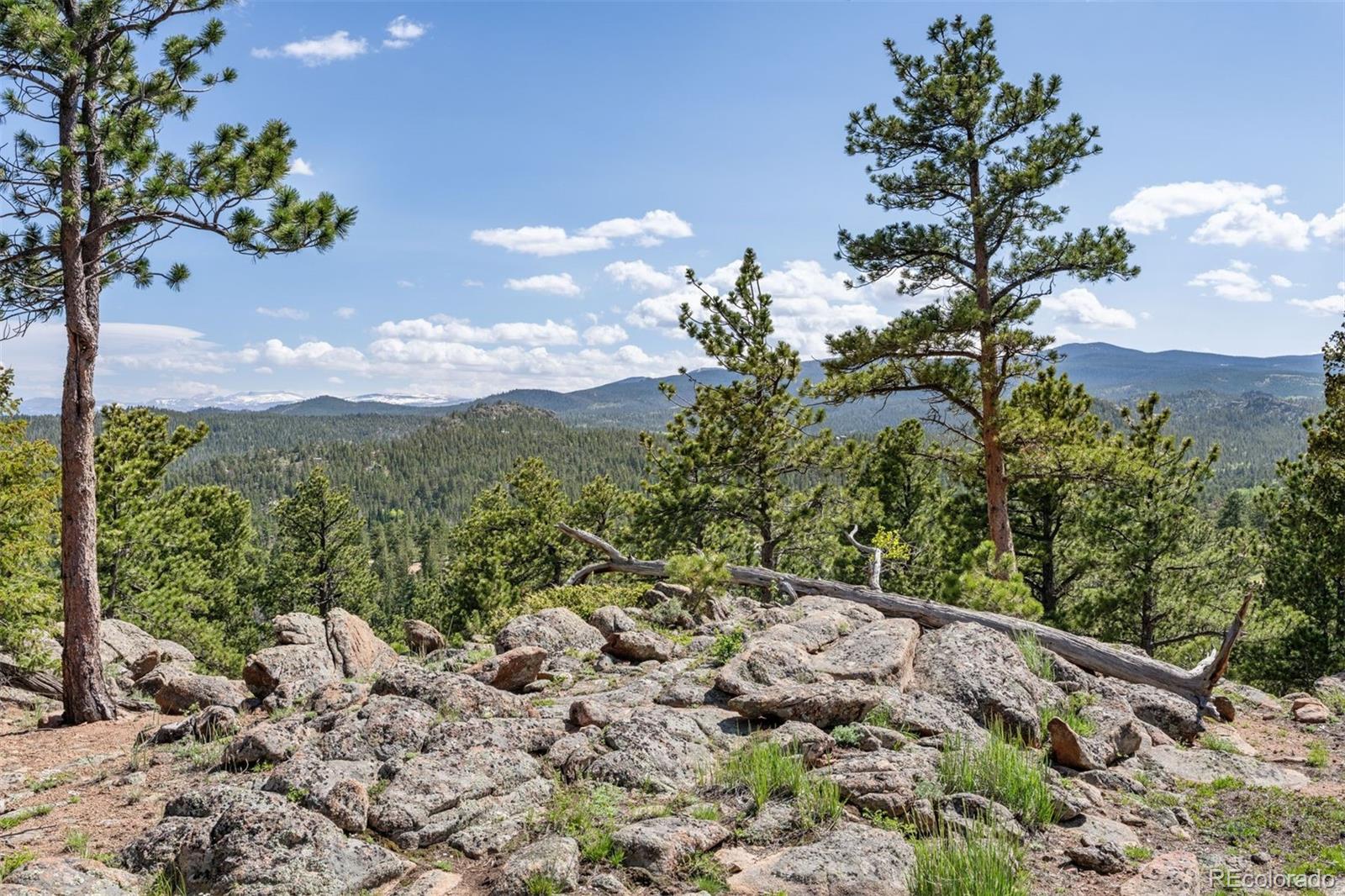 MLS Image #26 for 15  chillicothe court,red feather lakes, Colorado