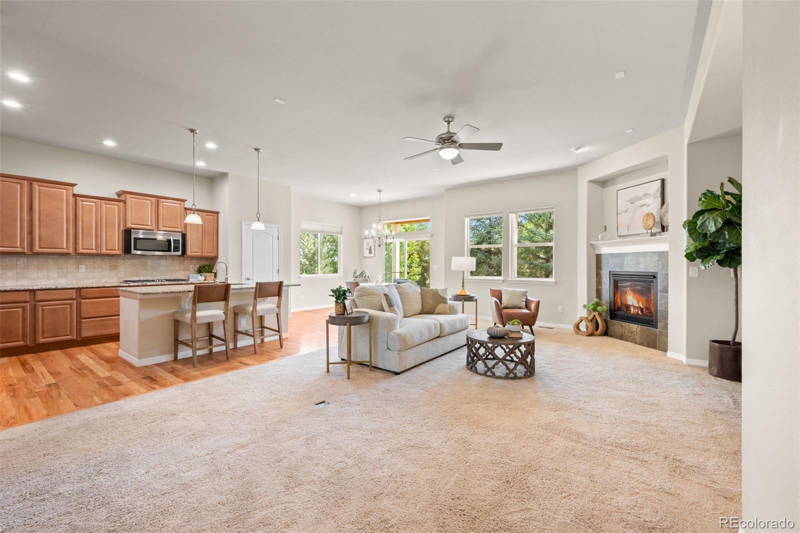 MLS Image #3 for 15414  xenia court,thornton, Colorado
