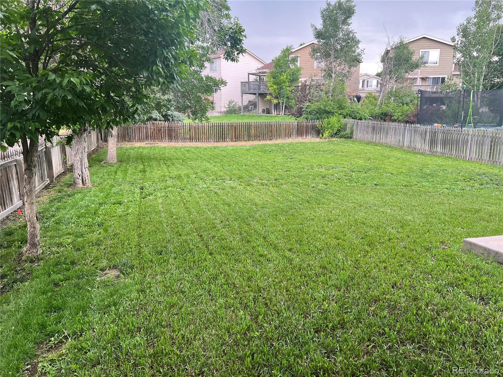 MLS Image #31 for 21767  silver meadow lane,parker, Colorado