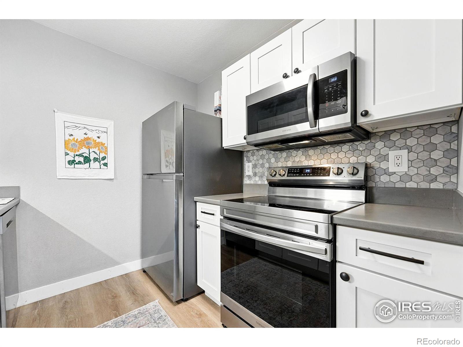 MLS Image #10 for 1900  chalcis drive,lafayette, Colorado