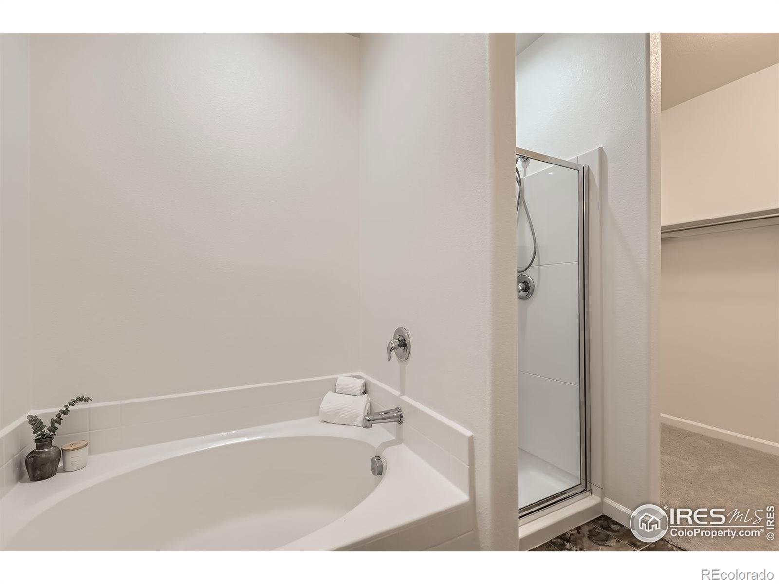 MLS Image #15 for 588  sandi lane,dacono, Colorado
