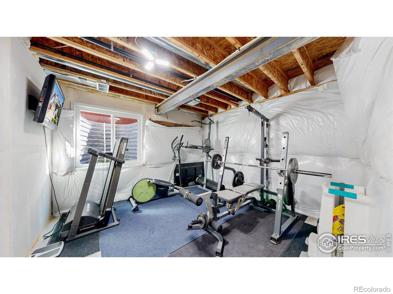MLS Image #25 for 1661  rise drive,windsor, Colorado