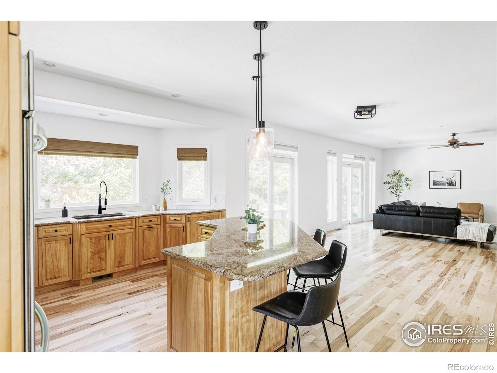 MLS Image #10 for 2073  eisenhower drive,louisville, Colorado