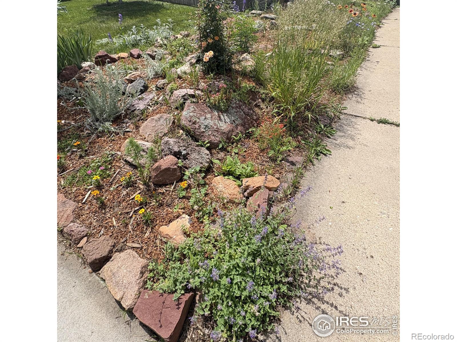 MLS Image #32 for 3750  emerson avenue,boulder, Colorado
