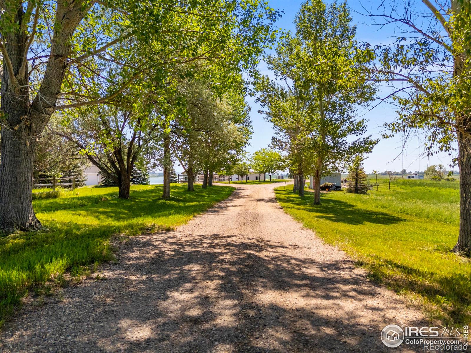 MLS Image #3 for 7018  daryn lane,fort collins, Colorado
