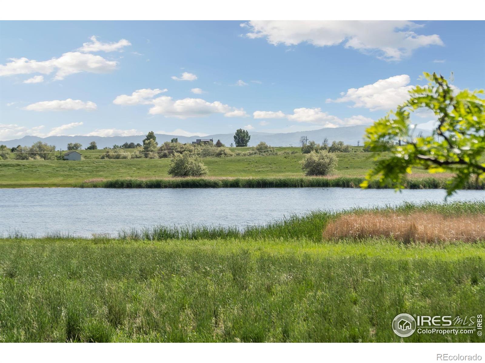MLS Image #38 for 7018  daryn lane,fort collins, Colorado