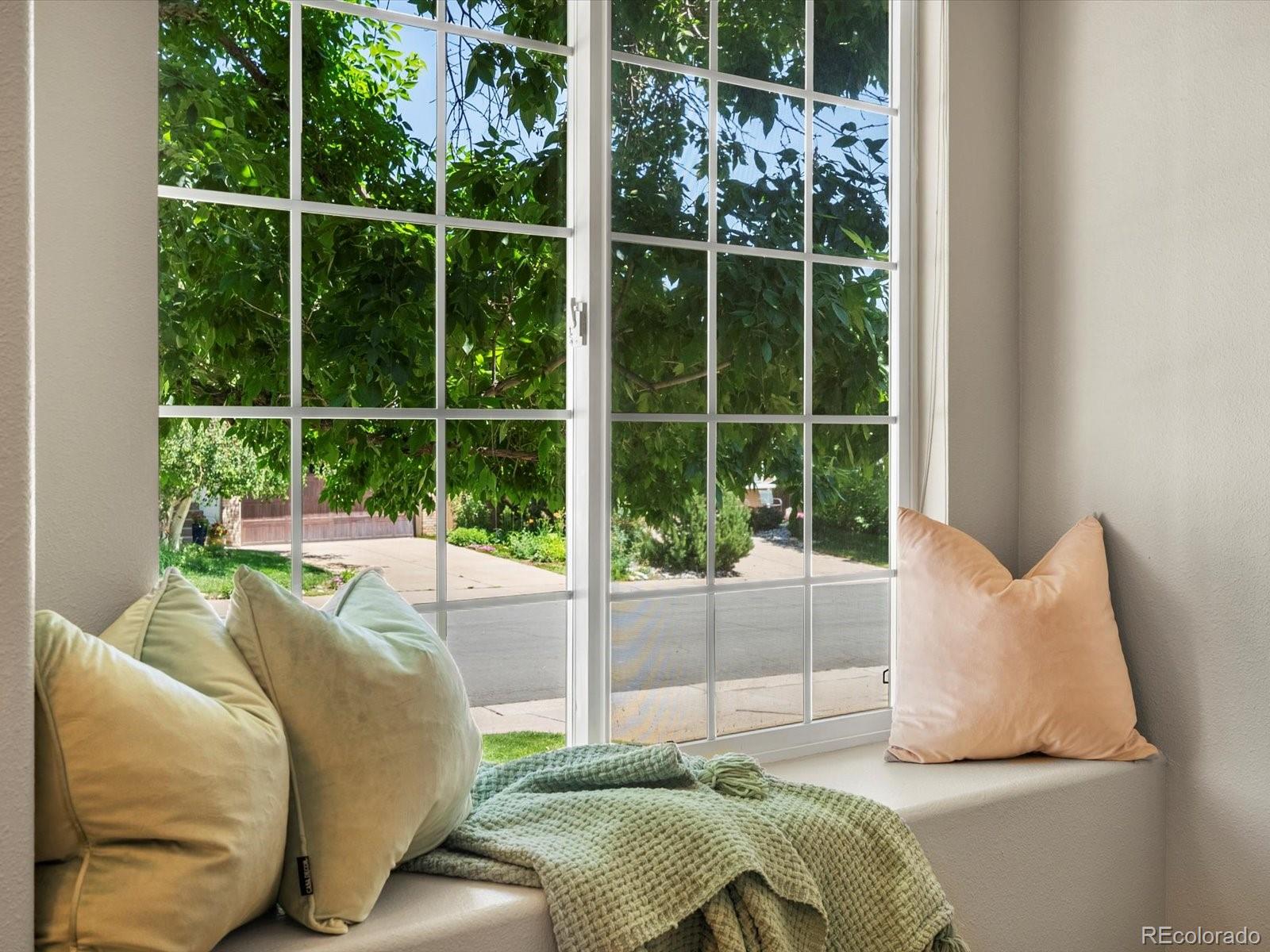 MLS Image #5 for 2548  foothills canyon court,highlands ranch, Colorado
