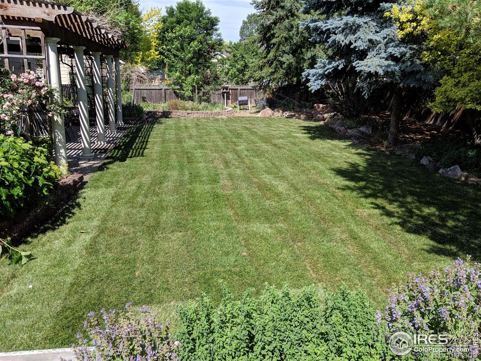MLS Image #39 for 1616  cedarwood drive,longmont, Colorado