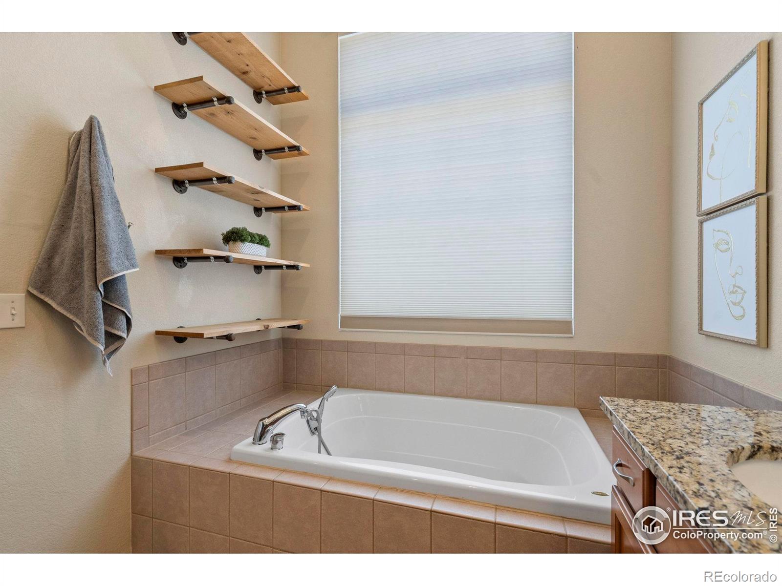 MLS Image #16 for 2833  annelise way,fort collins, Colorado