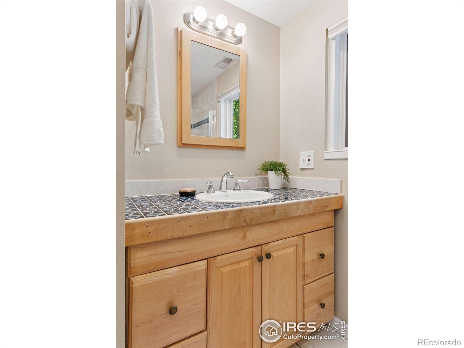 MLS Image #21 for 2016  strathmore street,louisville, Colorado