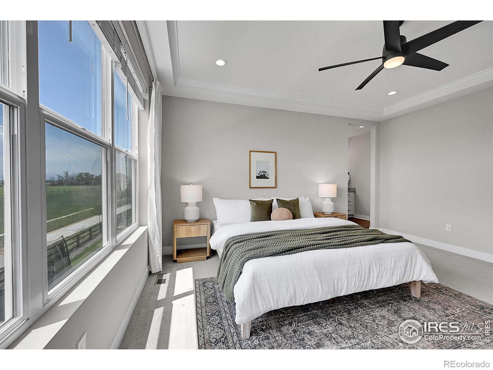 MLS Image #23 for 5741  isabella avenue,timnath, Colorado