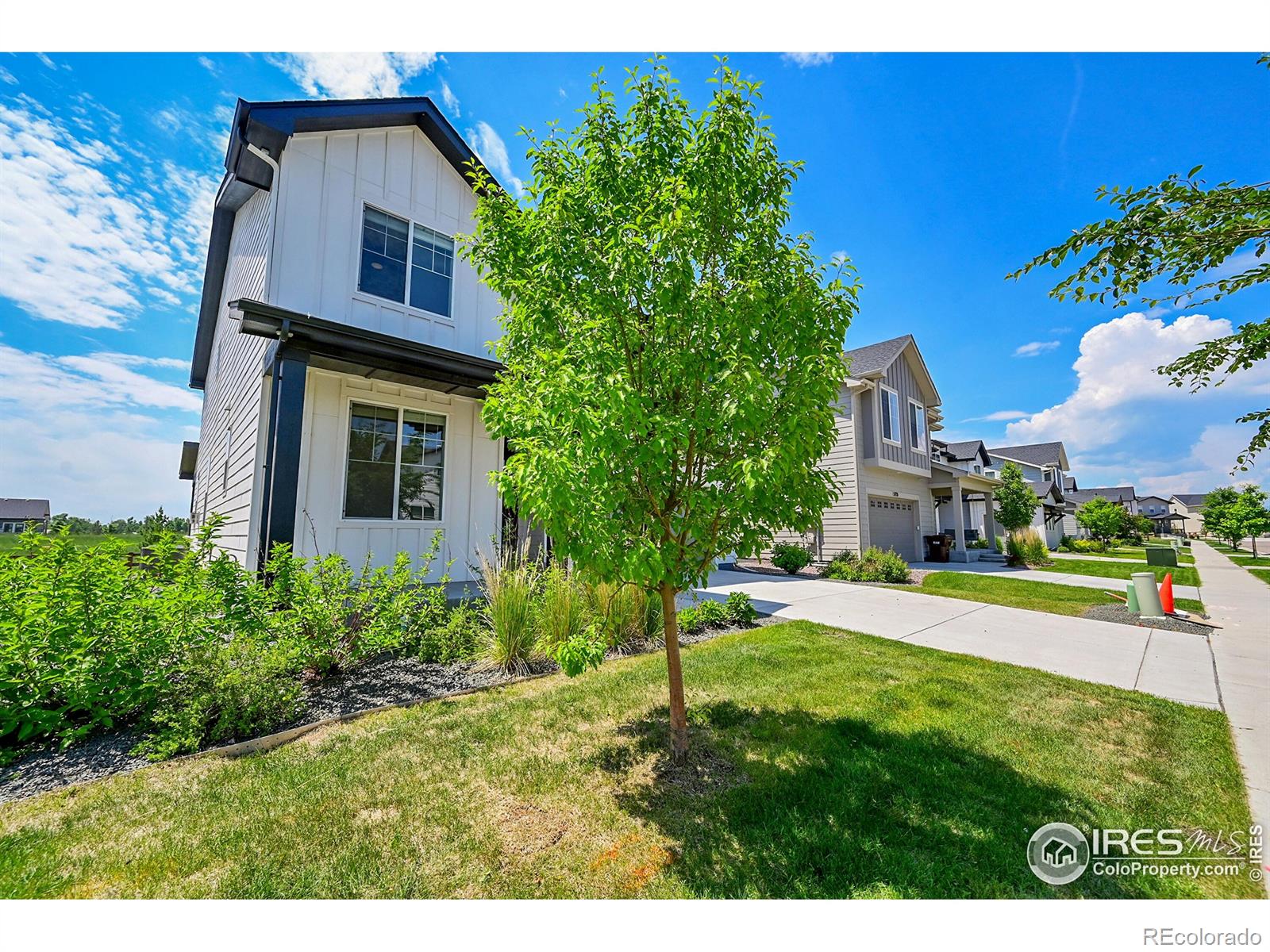 MLS Image #3 for 5741  isabella avenue,timnath, Colorado