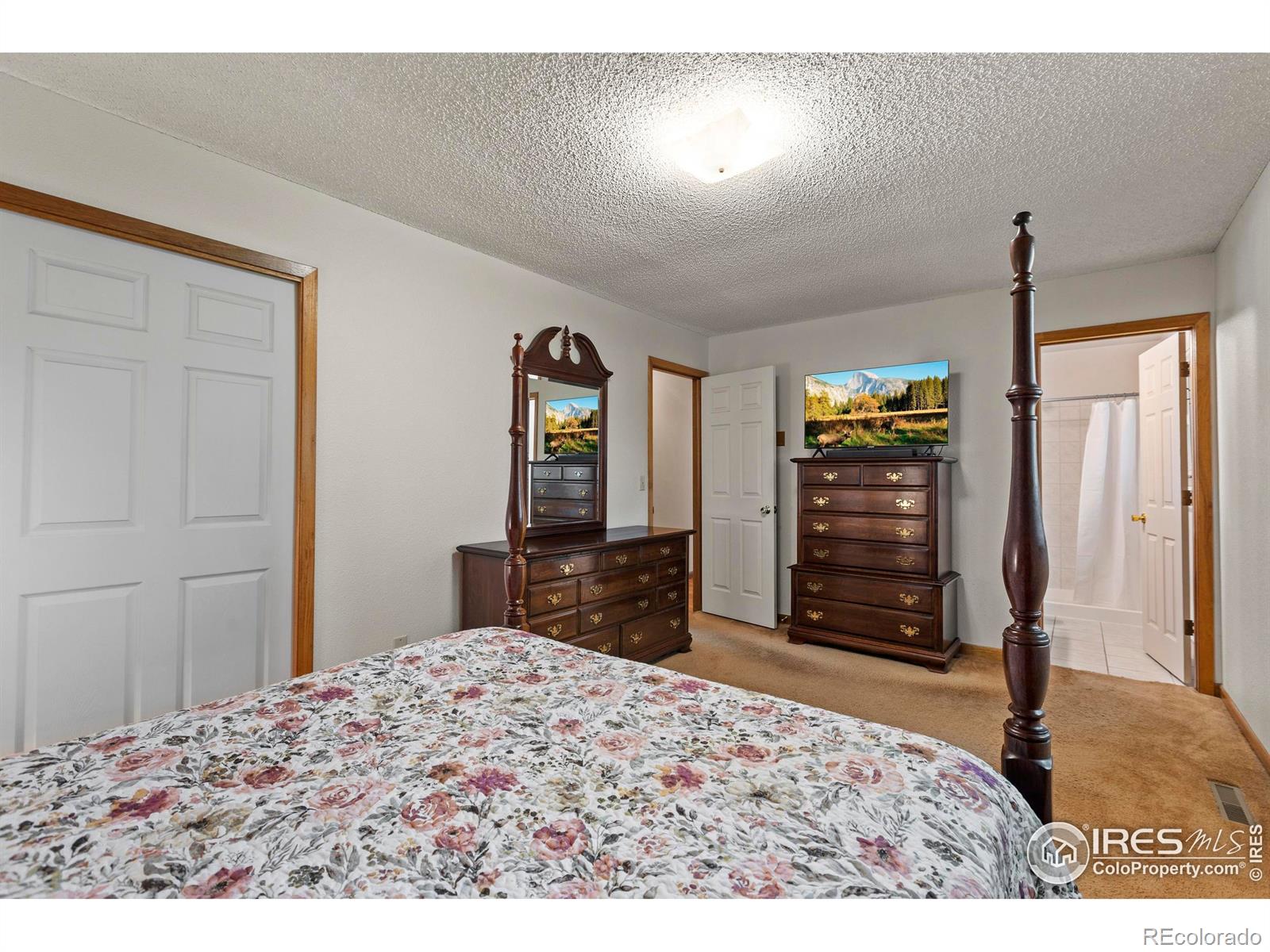 MLS Image #18 for 7808  emerald avenue,fort collins, Colorado