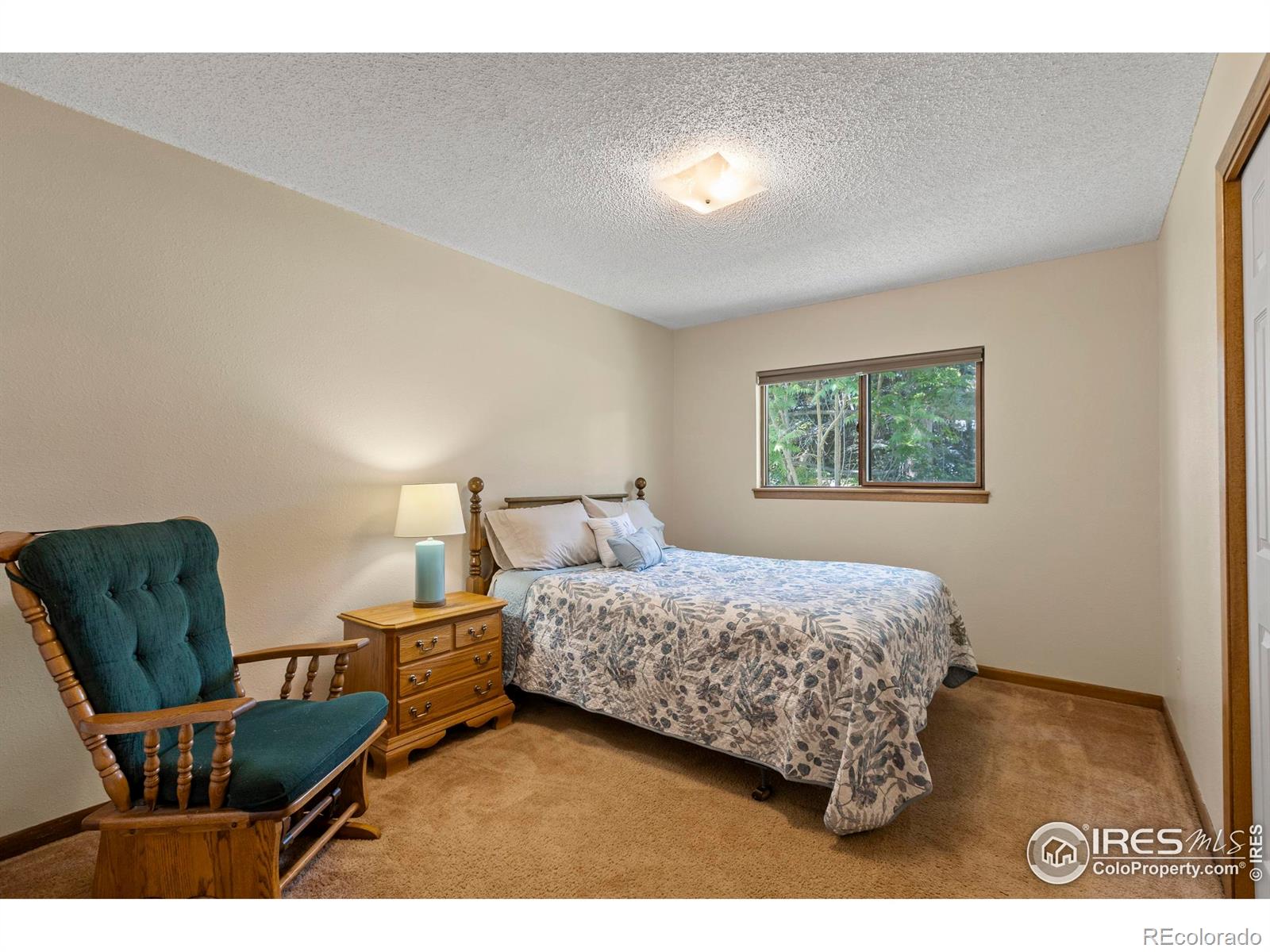 MLS Image #20 for 7808  emerald avenue,fort collins, Colorado