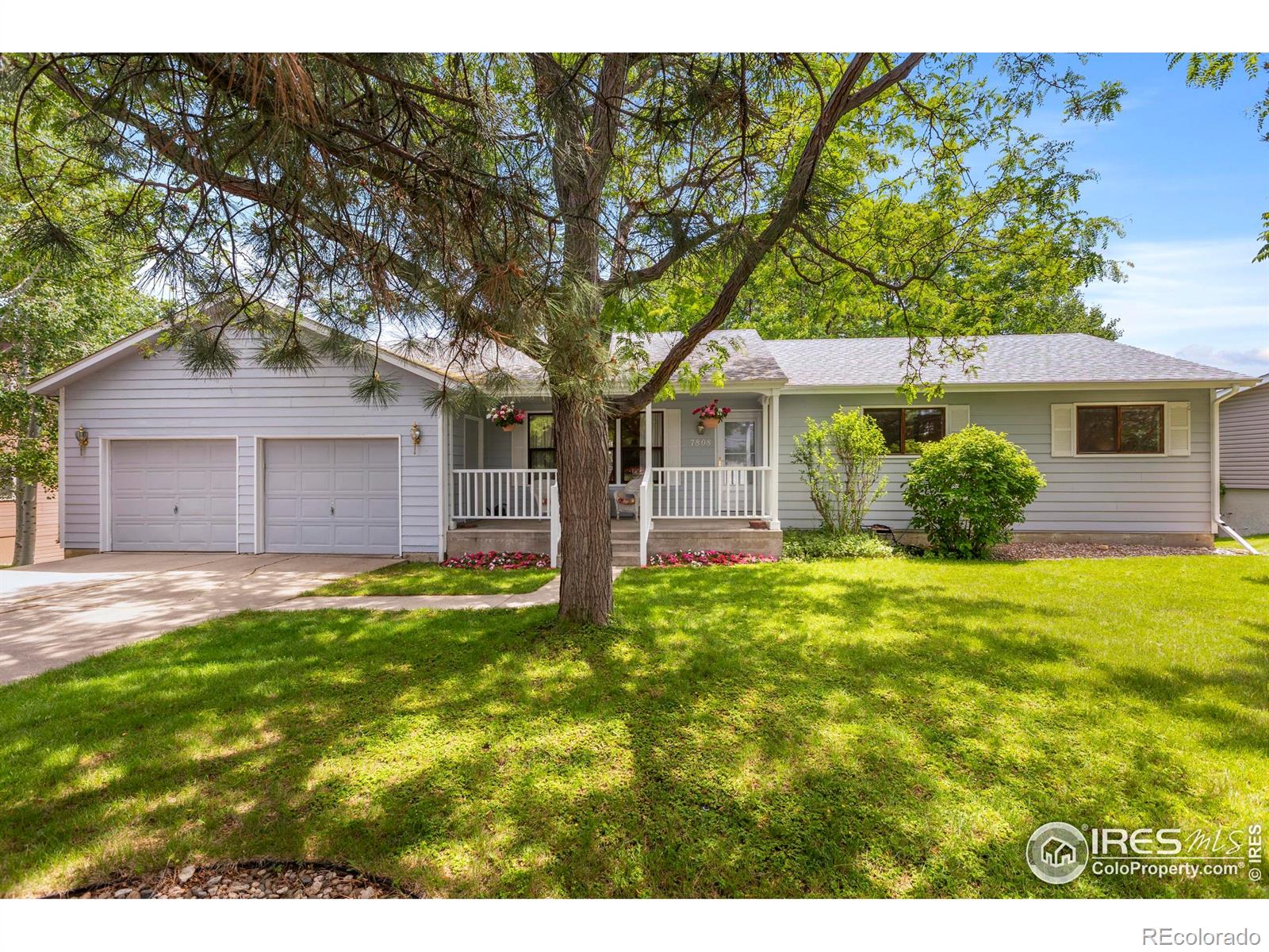MLS Image #3 for 7808  emerald avenue,fort collins, Colorado
