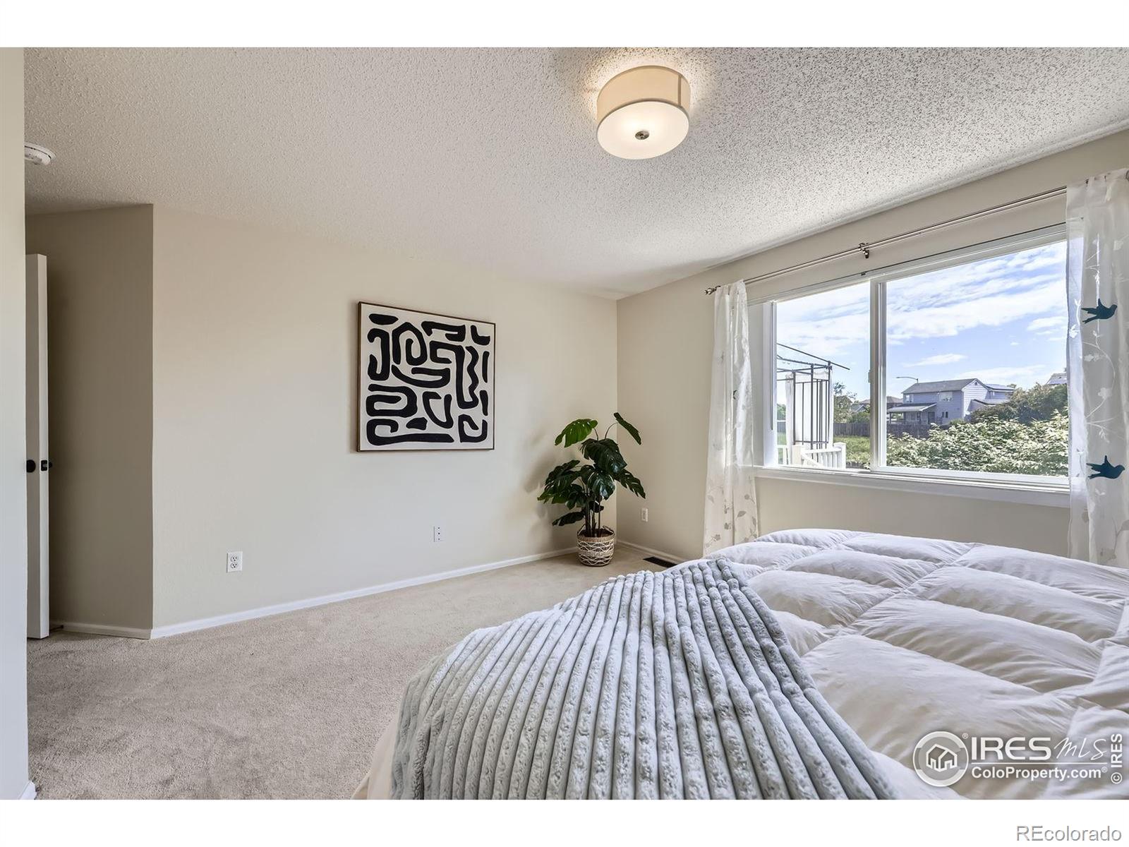 MLS Image #14 for 13586  raritan street,westminster, Colorado