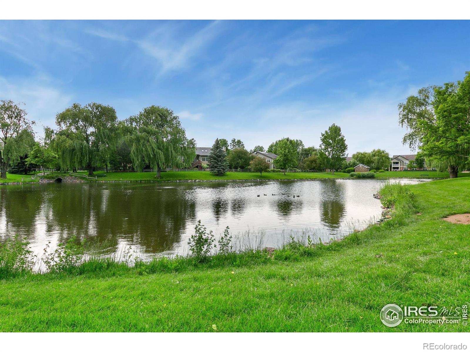 MLS Image #30 for 2006  mackenzie court,fort collins, Colorado