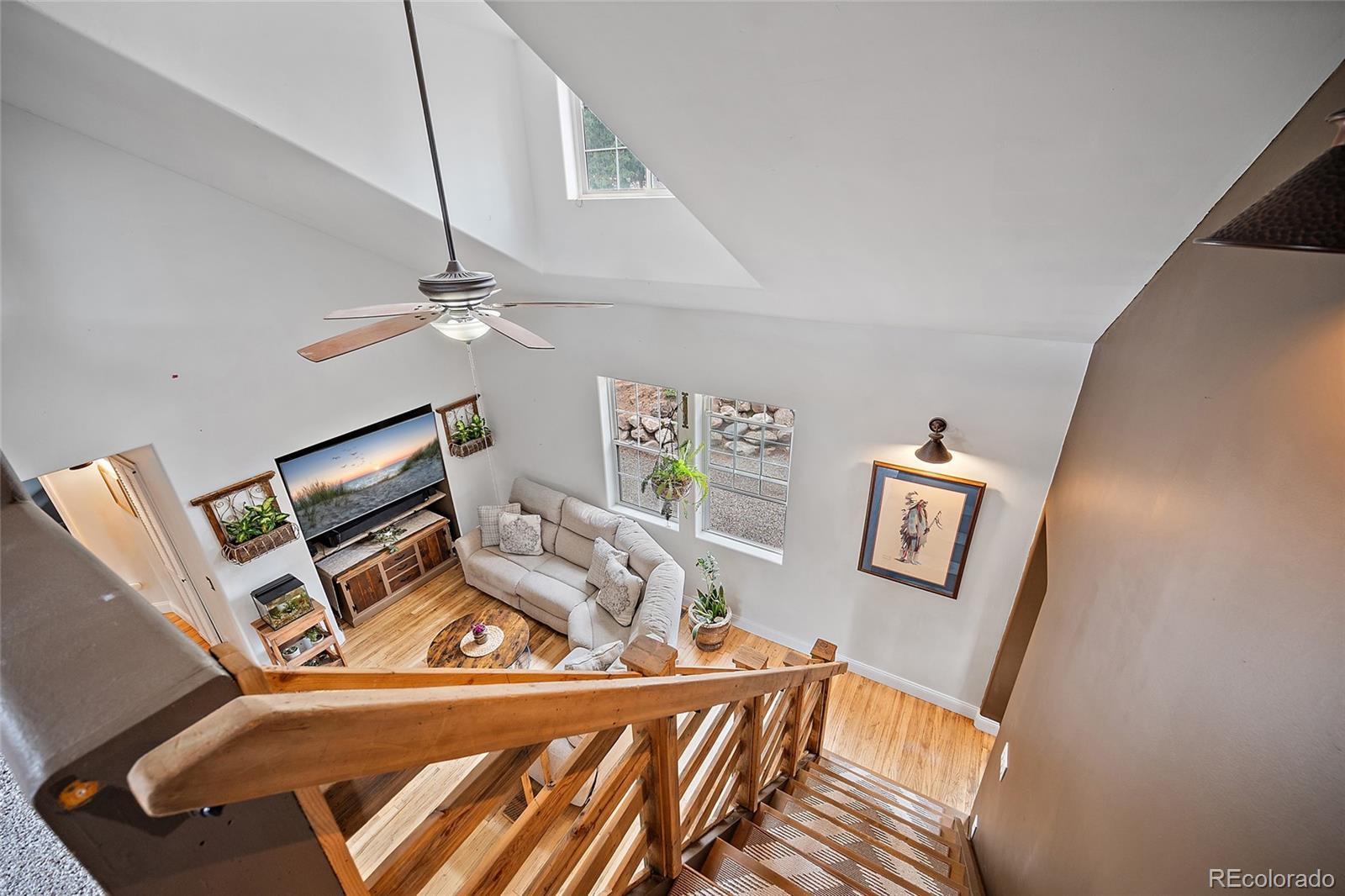 MLS Image #19 for 127  badger lake circle,divide, Colorado