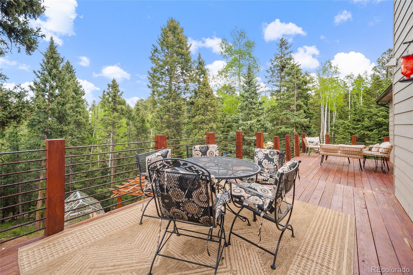 MLS Image #25 for 127  badger lake circle,divide, Colorado