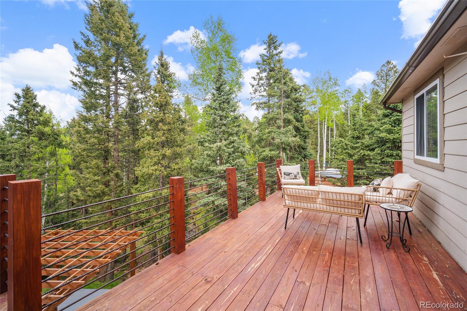 MLS Image #26 for 127  badger lake circle,divide, Colorado