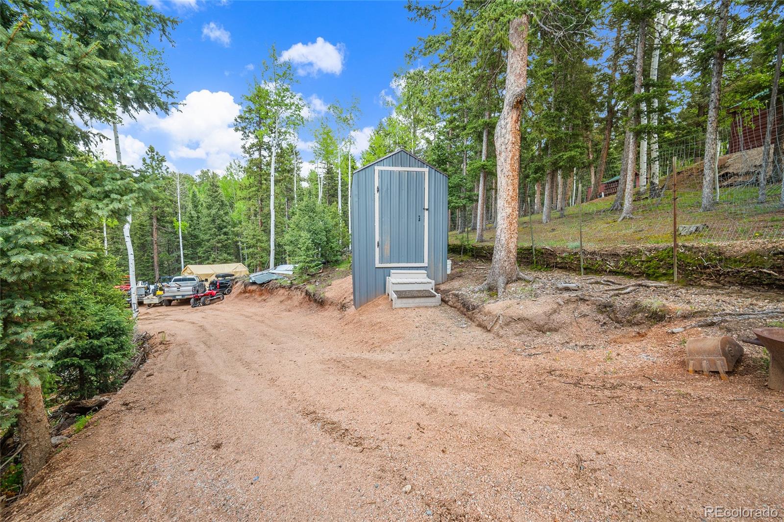 MLS Image #31 for 127  badger lake circle,divide, Colorado