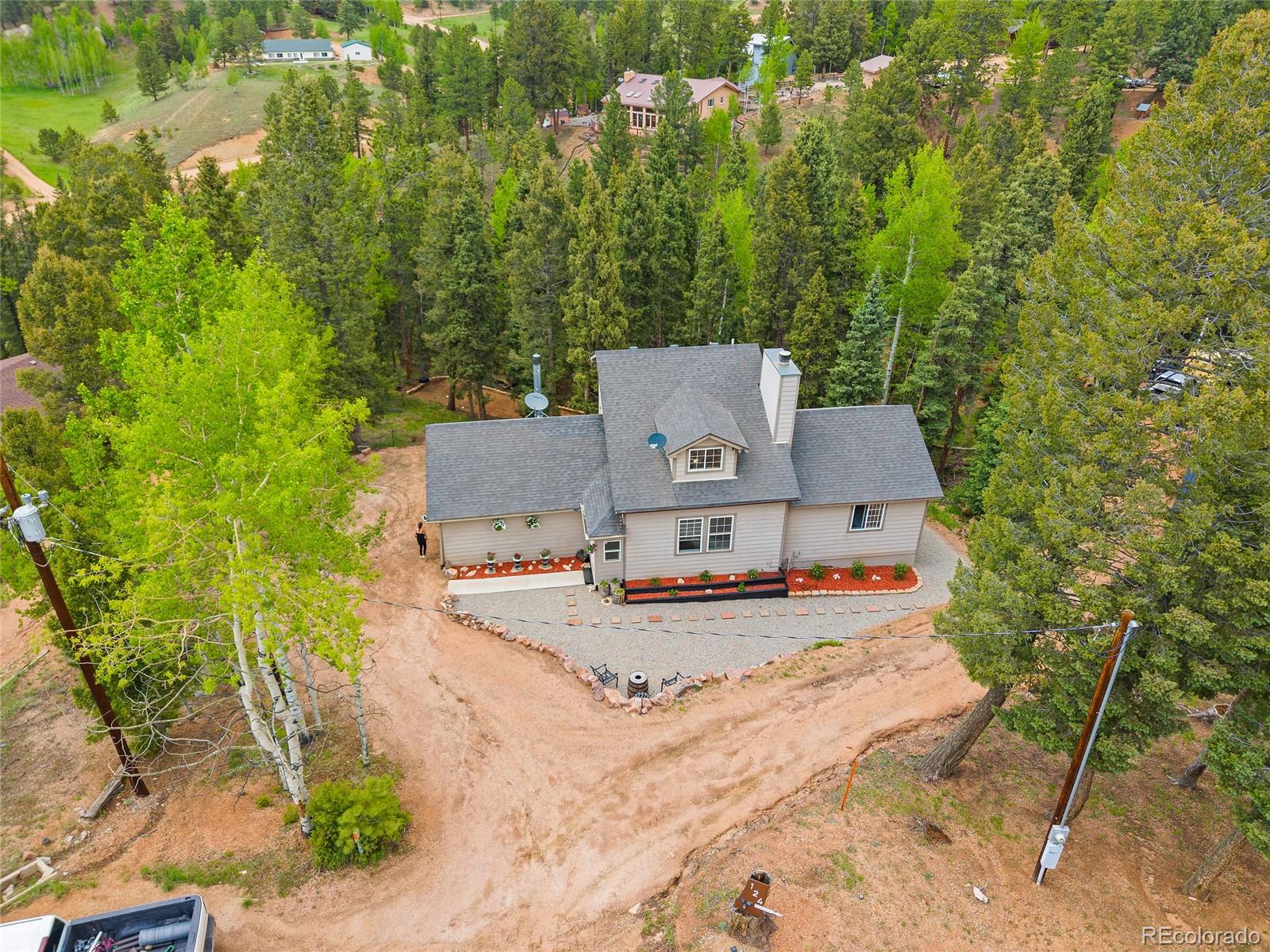 MLS Image #33 for 127  badger lake circle,divide, Colorado