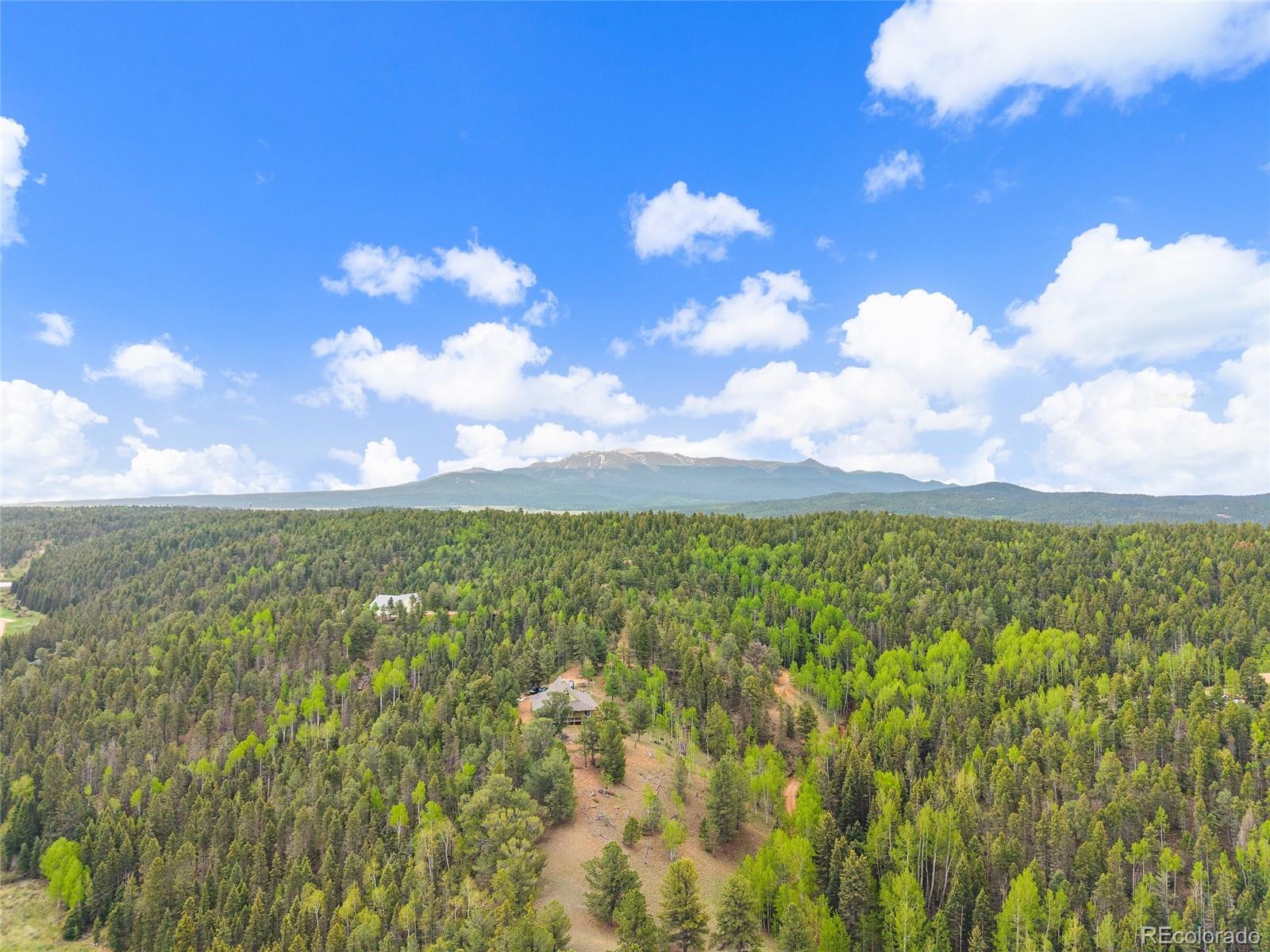 MLS Image #41 for 127  badger lake circle,divide, Colorado