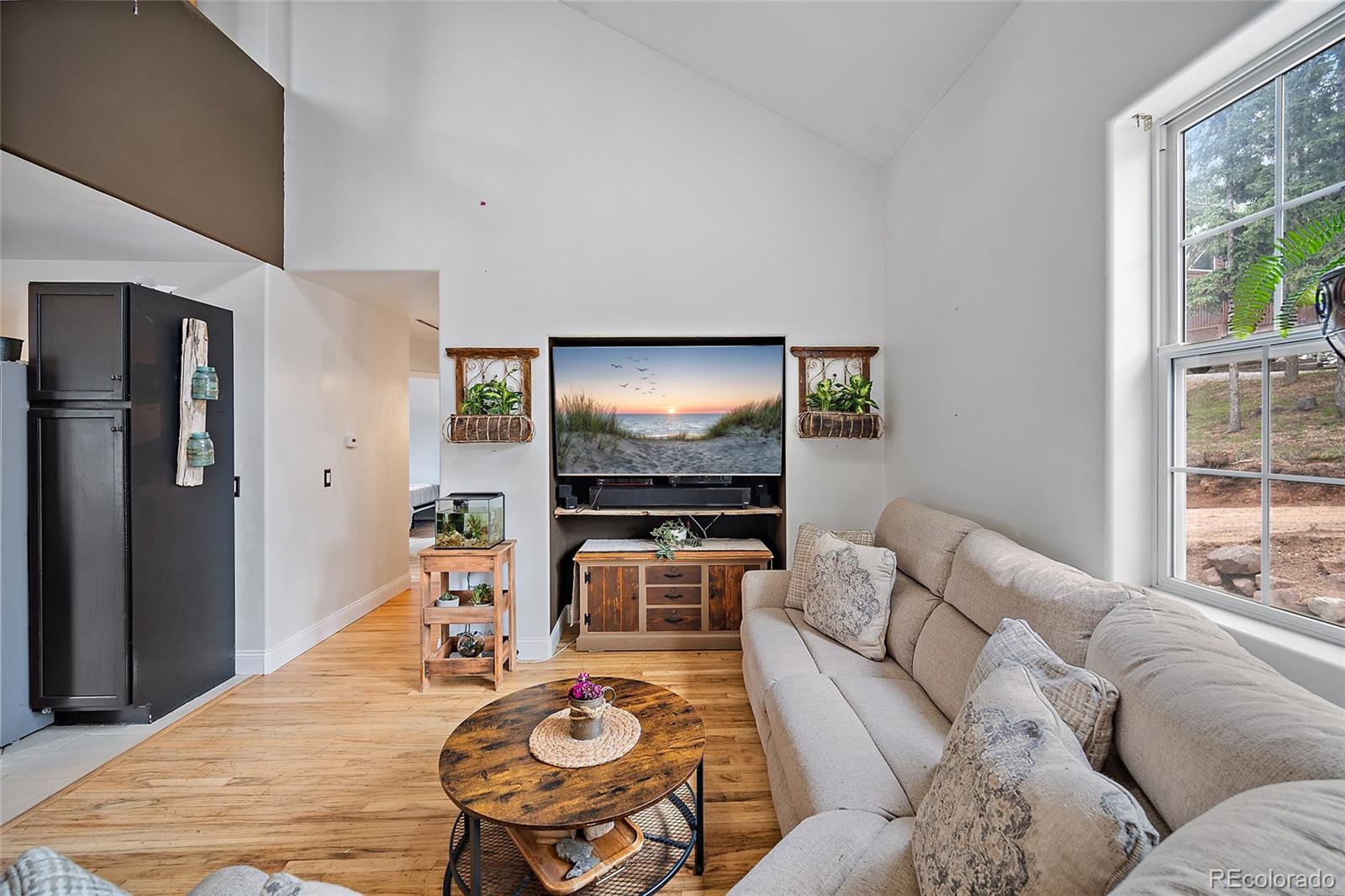 MLS Image #7 for 127  badger lake circle,divide, Colorado
