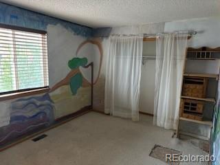 MLS Image #16 for 4372 e andover avenue,castle rock, Colorado